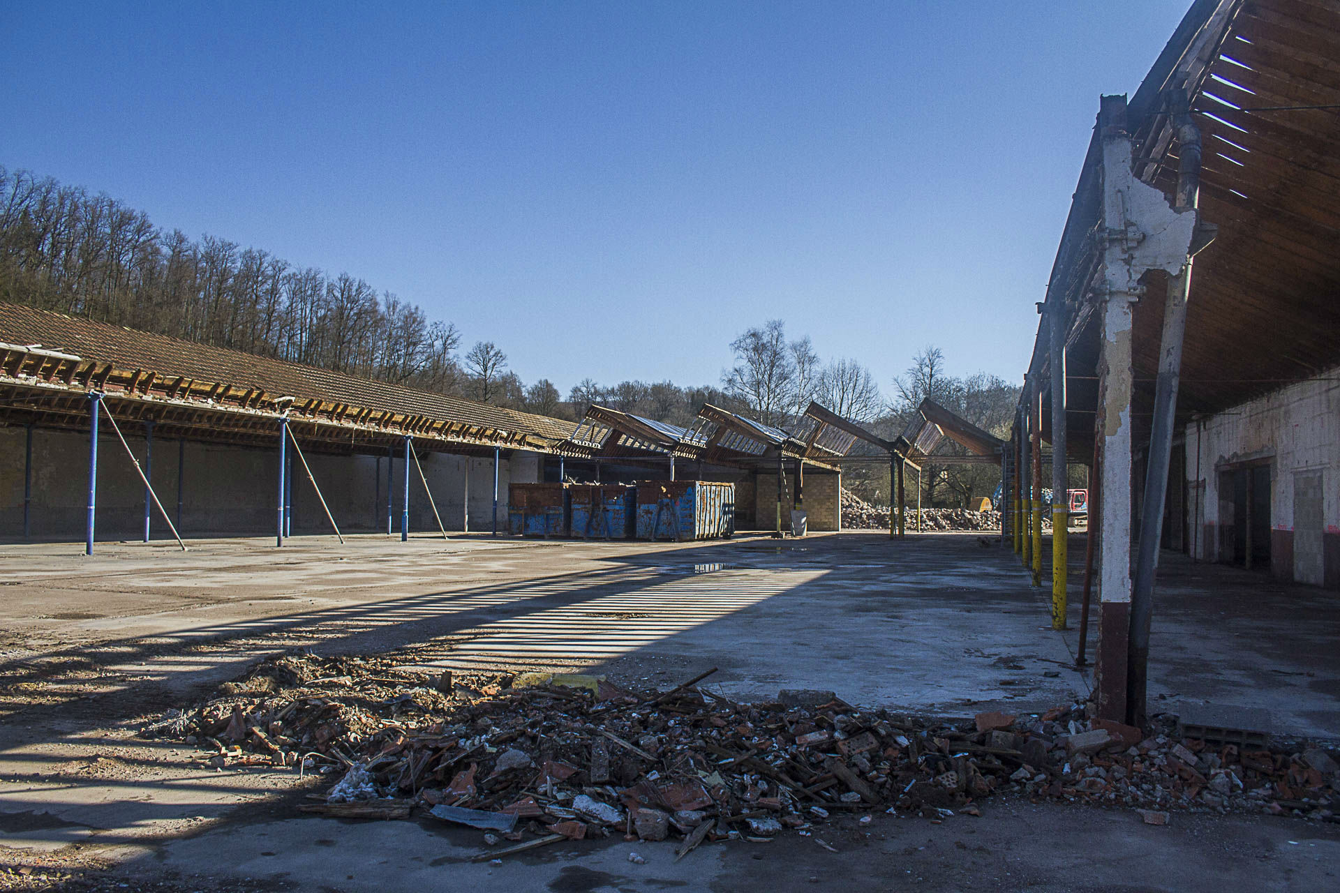 Naissance de l'Ecoparc - La Cour -  Avril 2015 (1)